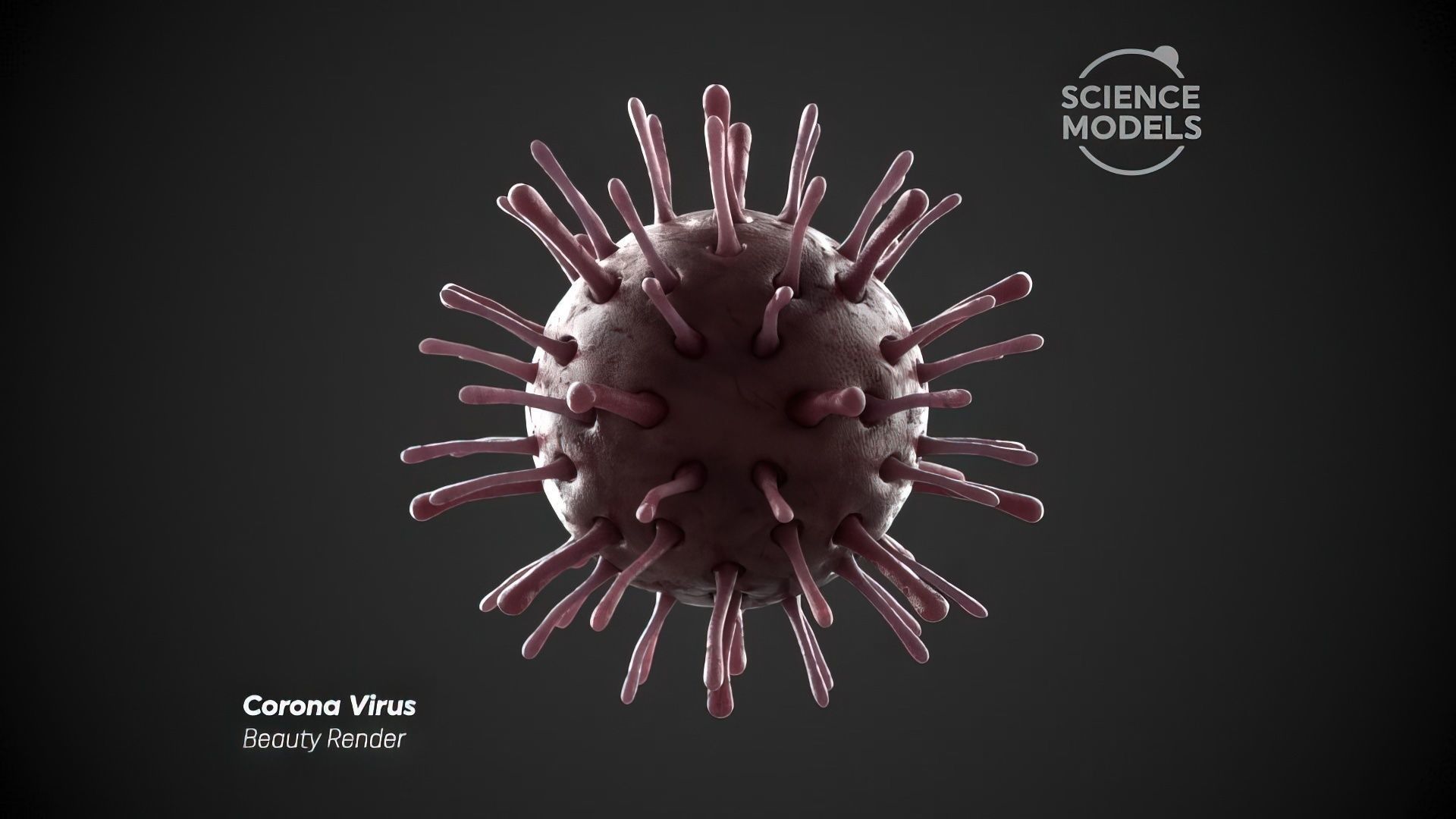 Corona Virus 3D model_2