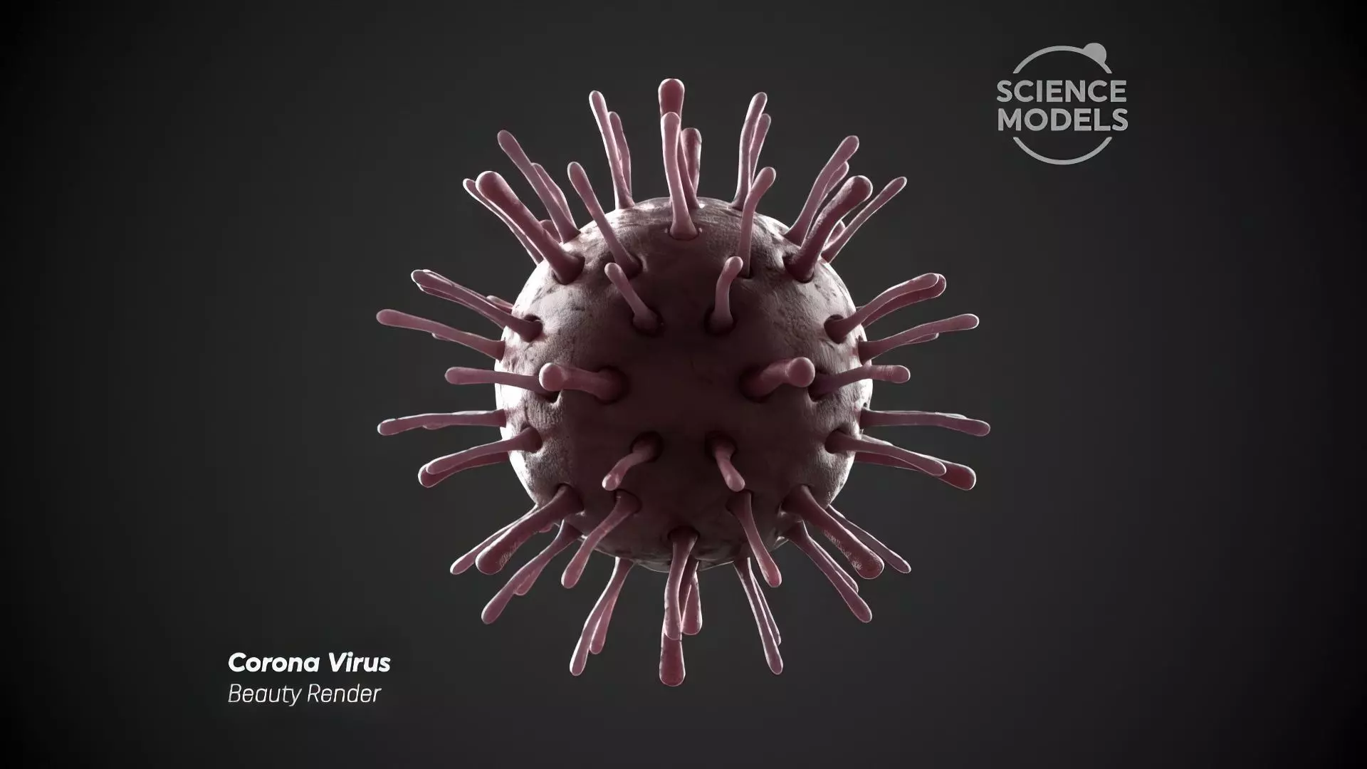 Corona Virus 3D model_0