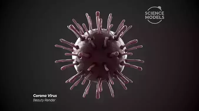 Corona Virus 3D model