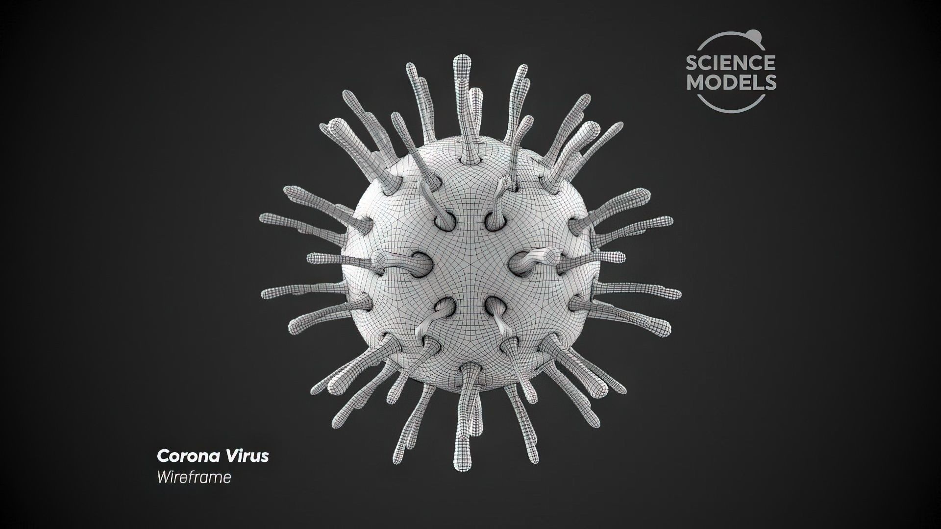 Corona Virus 3D model_5