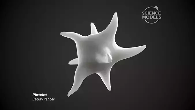Platelet Cell