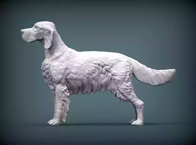 English Setter 3D print model
