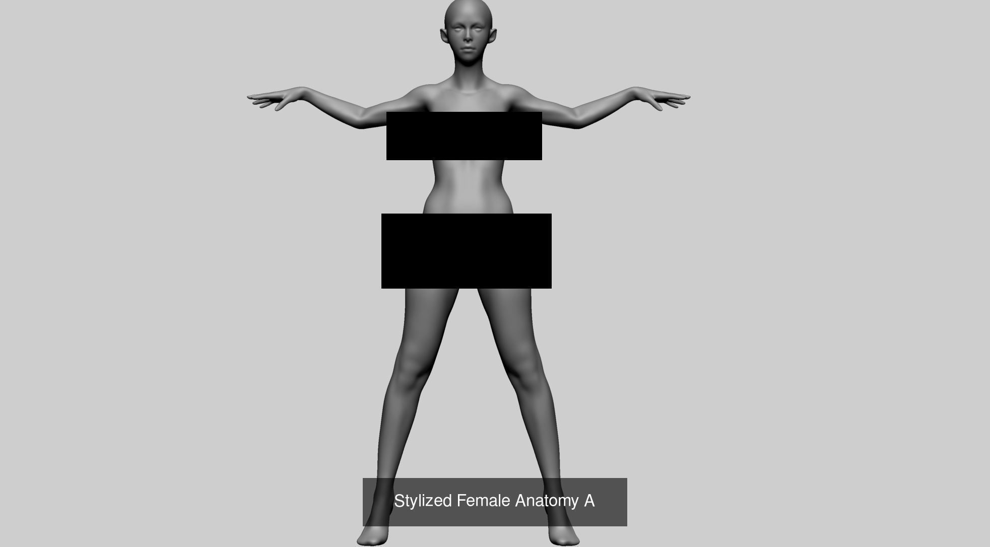 Female Anatomy Models A 3D Model Collection_11