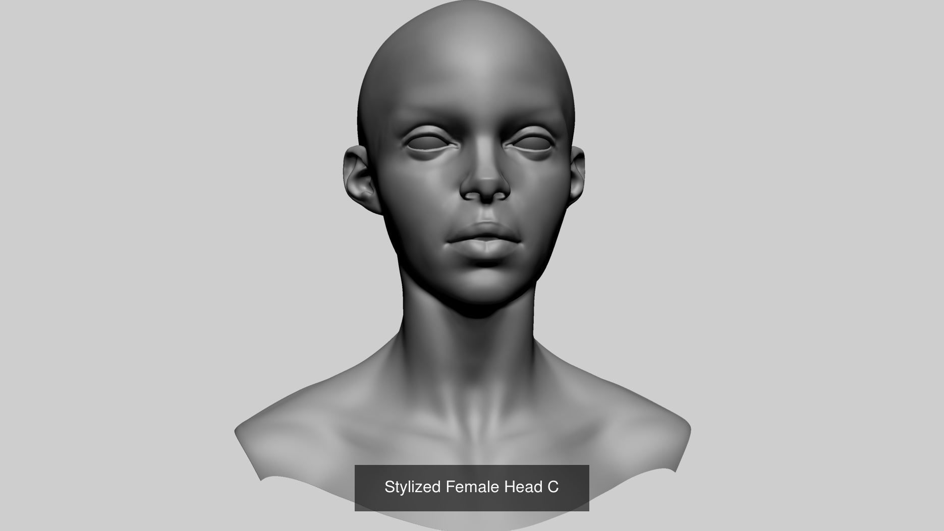 Female Anatomy Models A 3D Model Collection_18