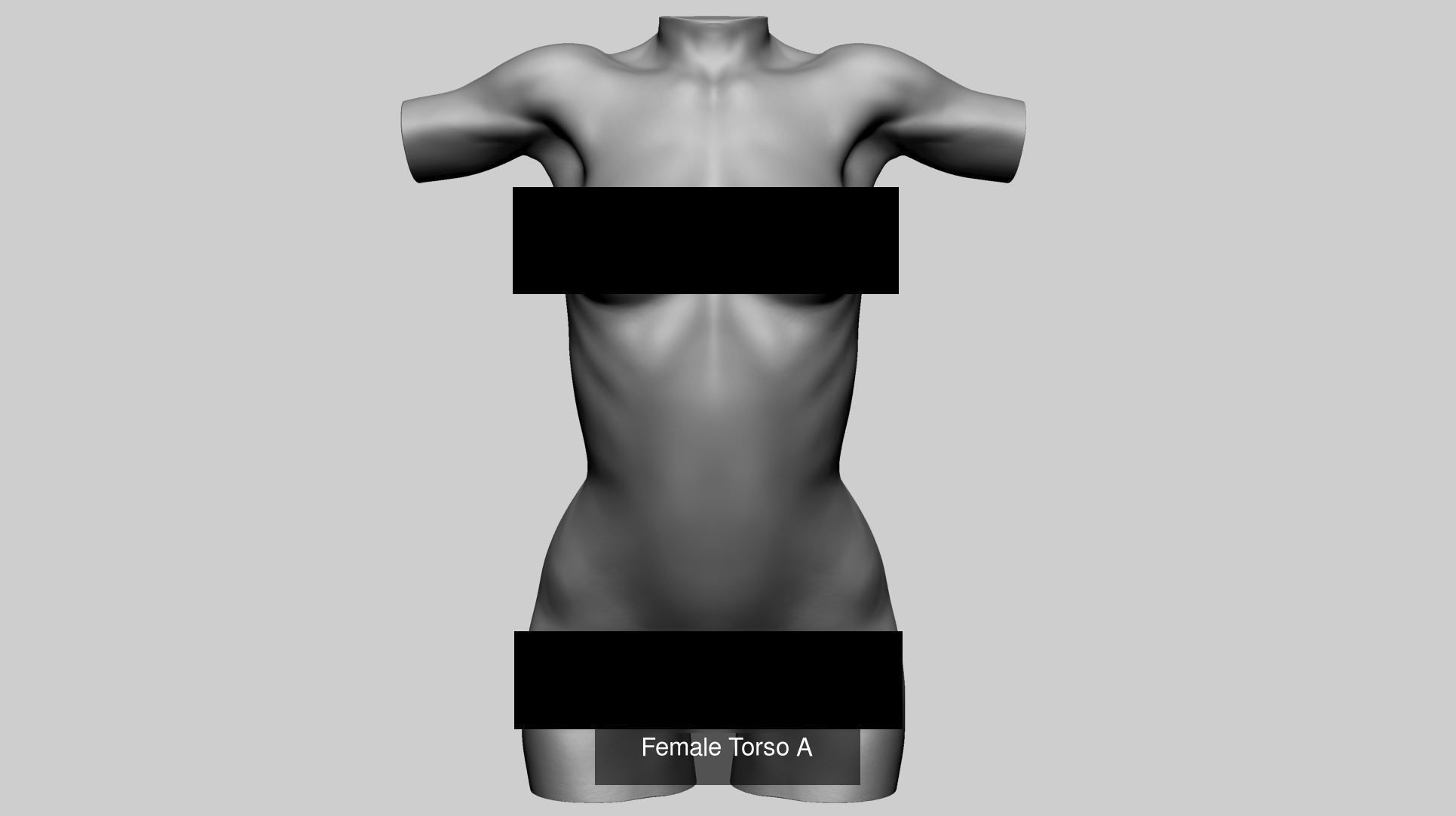 Female Anatomy Models A 3D Model Collection_6