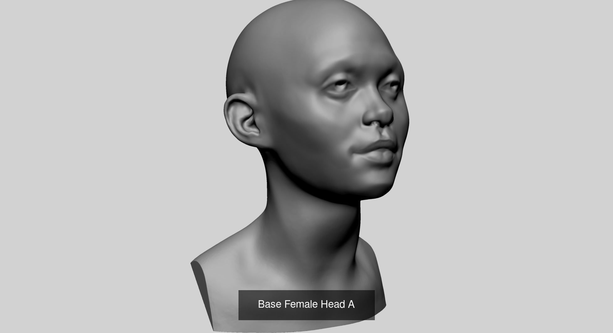 Female Anatomy Models A 3D Model Collection_12