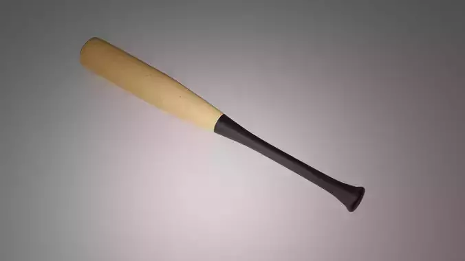 Baseball Bat
