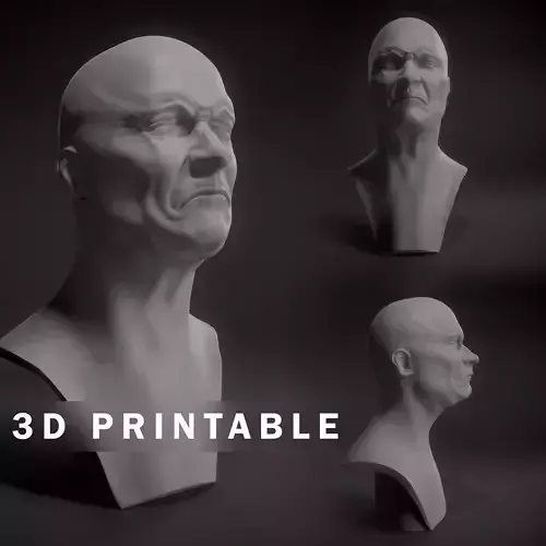 Angry Man 3D print model