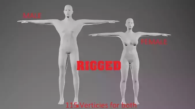RIGGED Basemeshes Male and Female  3D model
