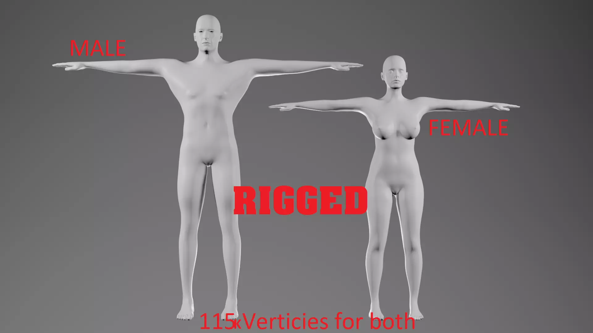 RIGGED Basemeshes Male and Female  3D model_0