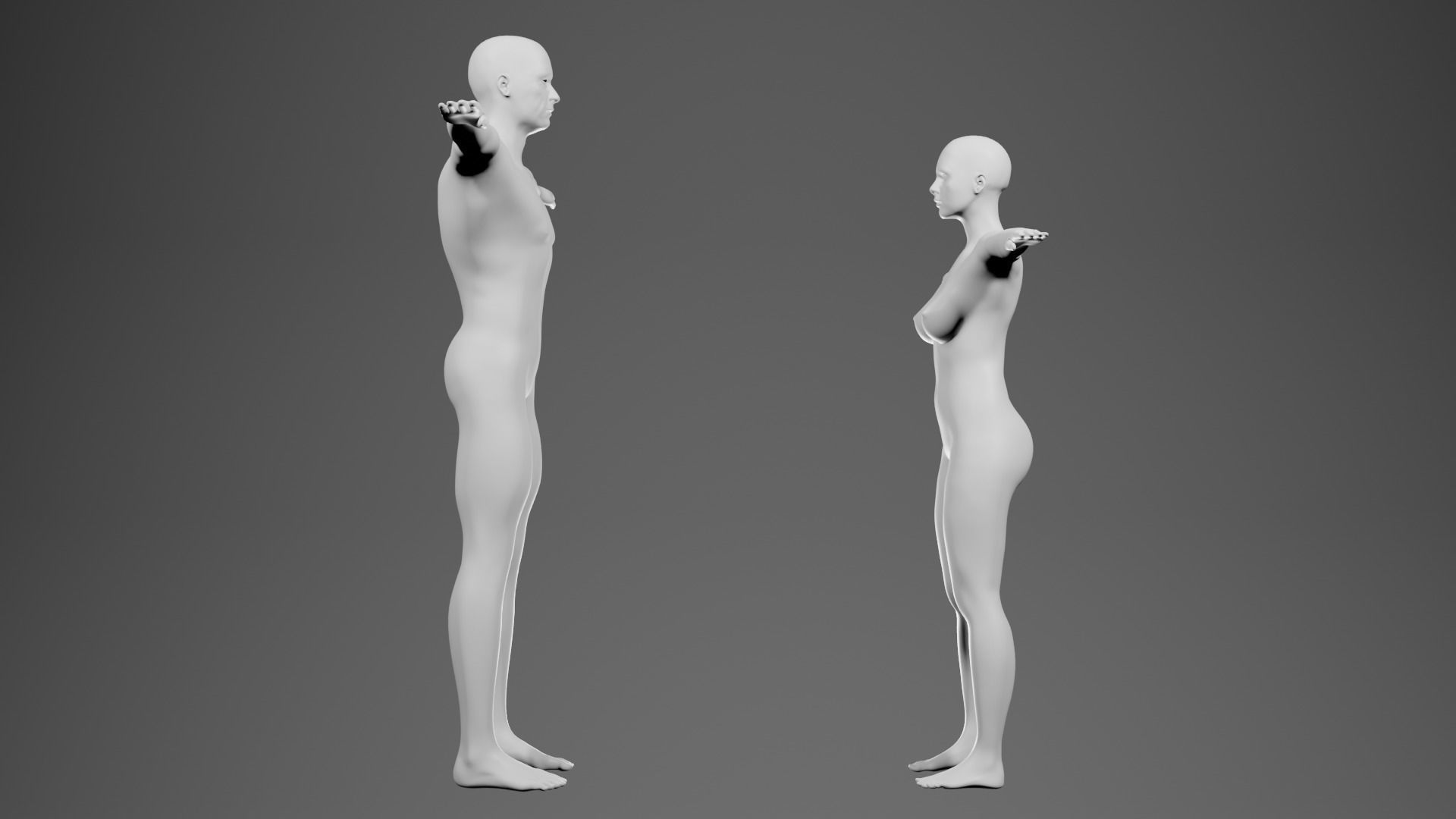 RIGGED Basemeshes Male and Female  3D model_2