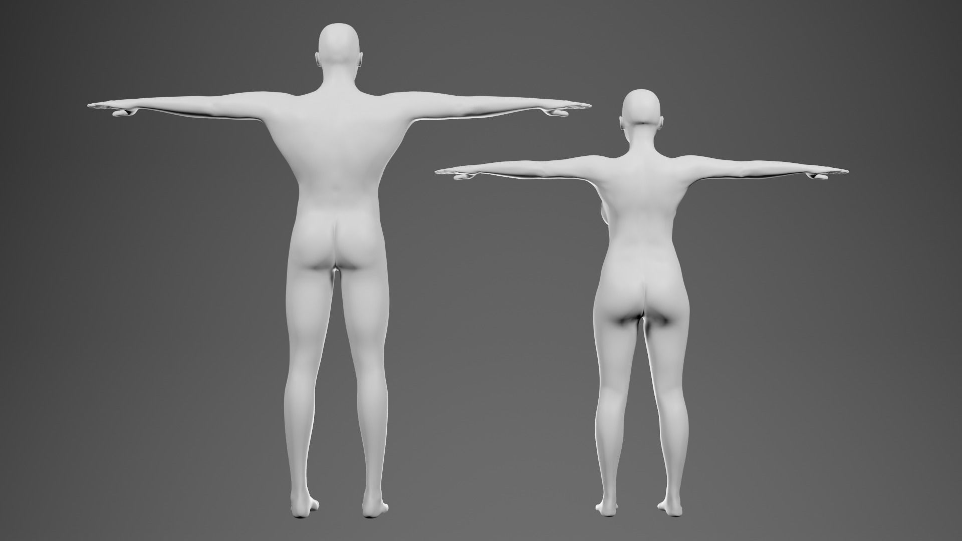 RIGGED Basemeshes Male and Female  3D model_3