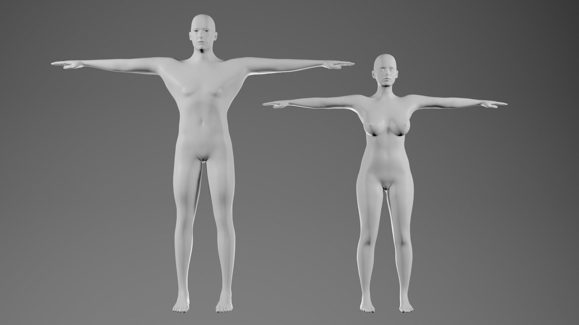 RIGGED Basemeshes Male and Female  3D model_1