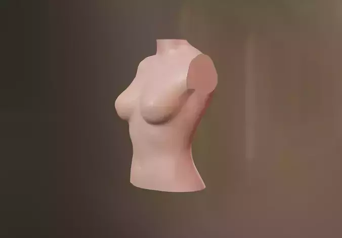 Female Torso 3D model