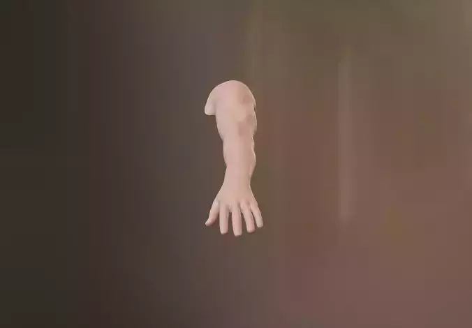 Male Arm 3D model