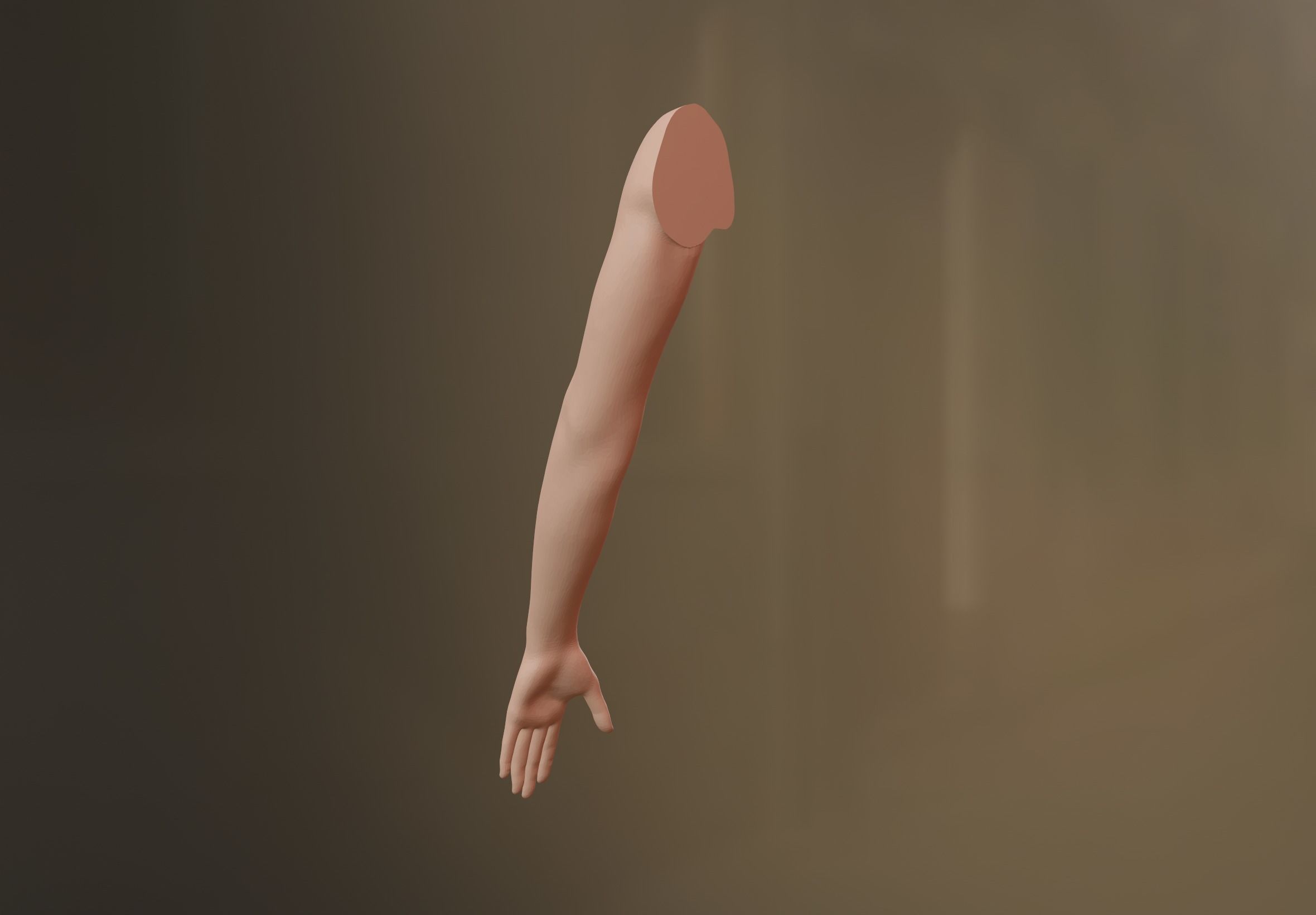 Female Arm 3D model 3D model_4