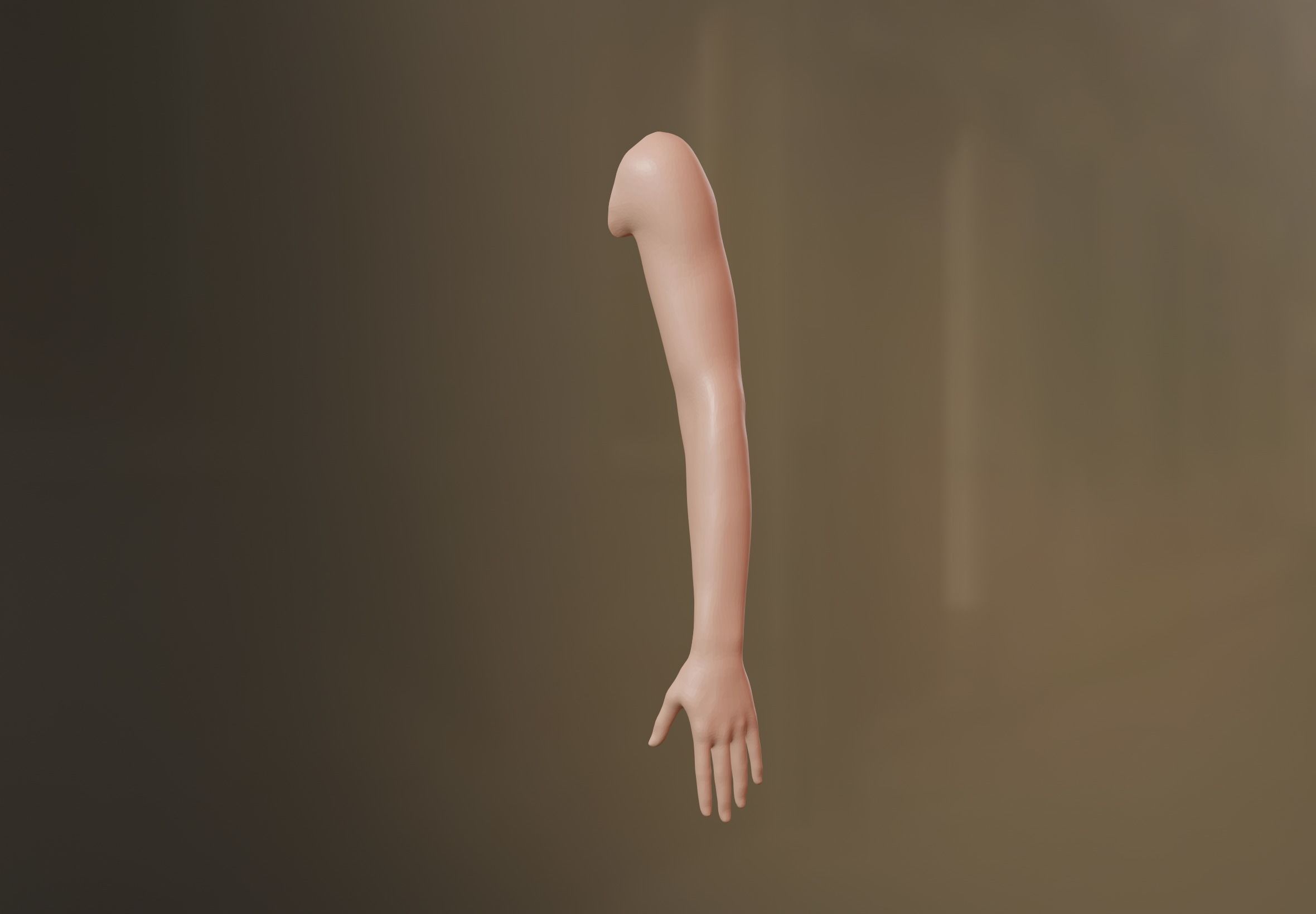 Female Arm 3D model 3D model_3