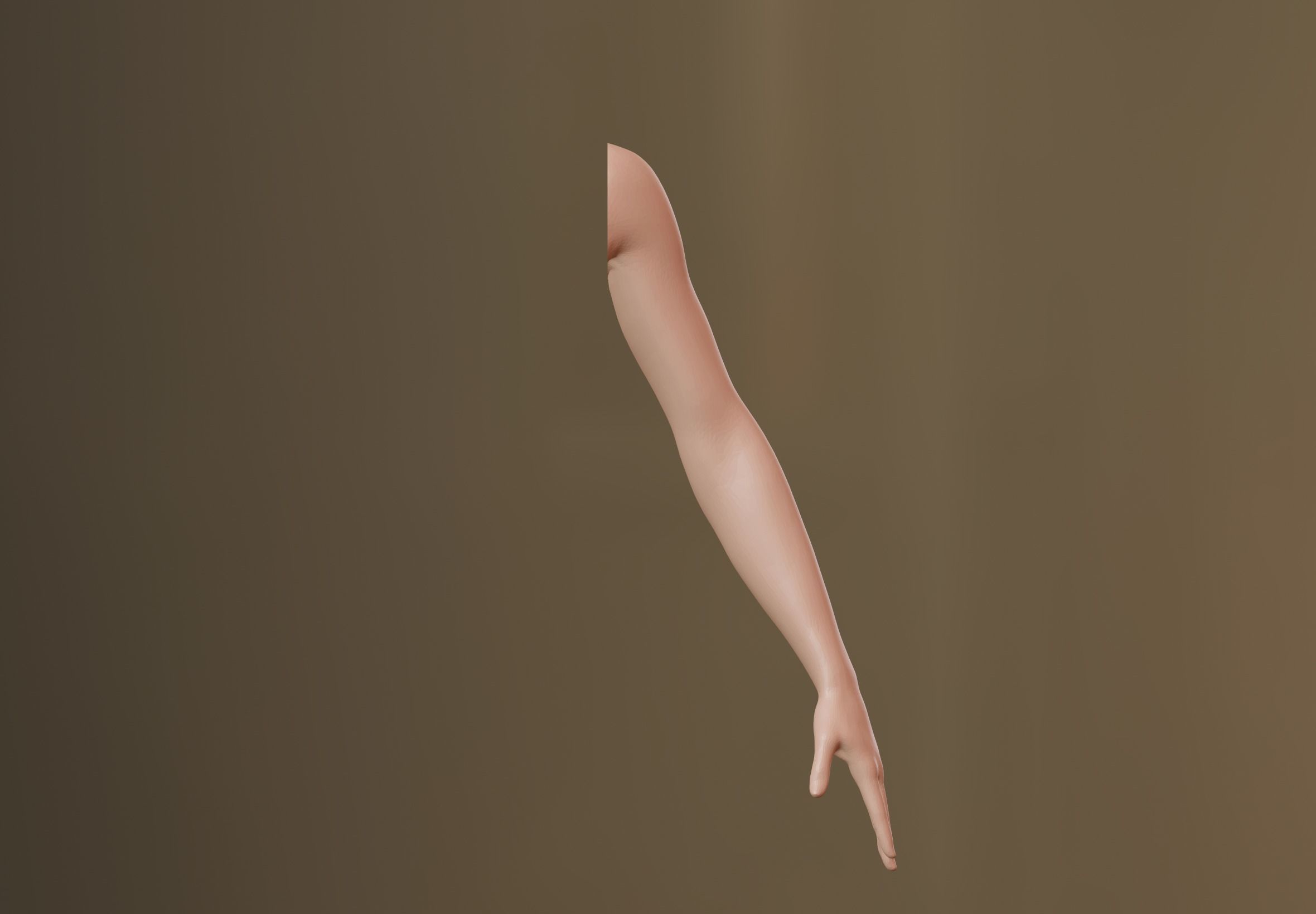 Female Arm 3D model 3D model_2