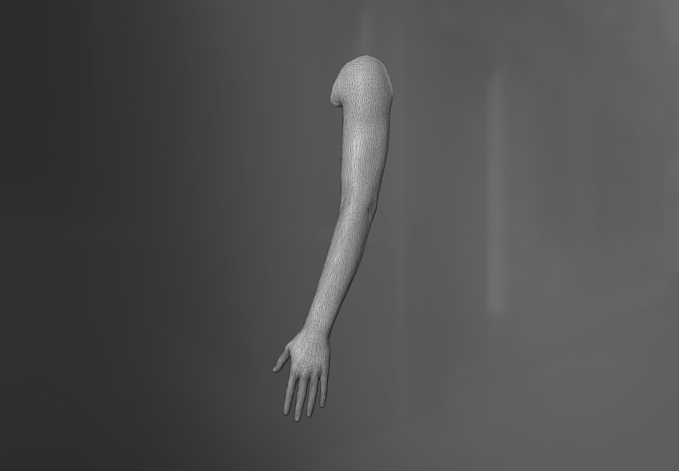 Female Arm 3D model 3D model_5