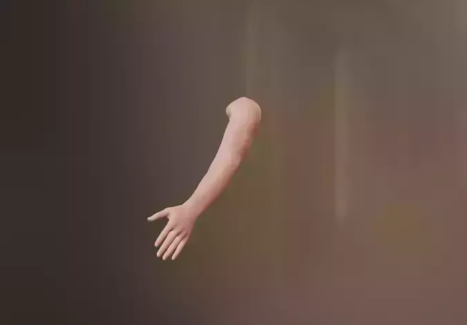 Female Arm 3D model