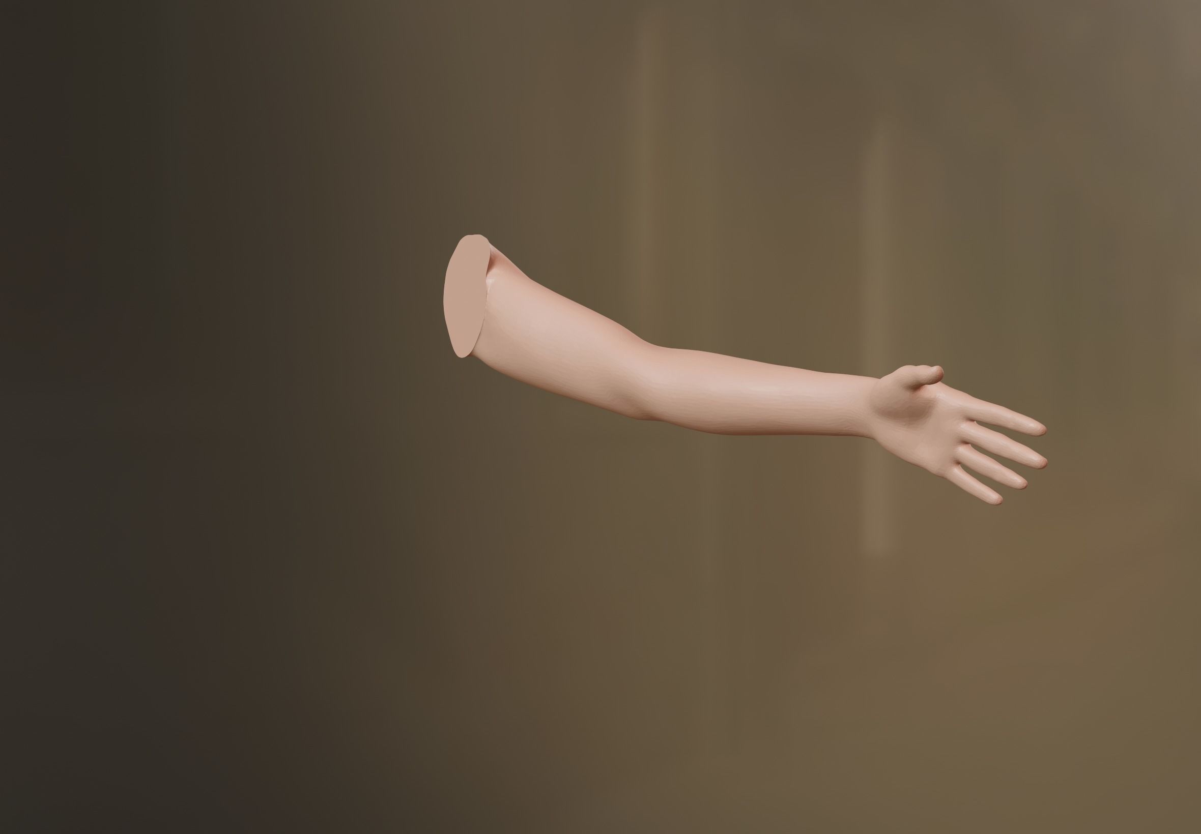 Female Arm 3D model 3D model_1
