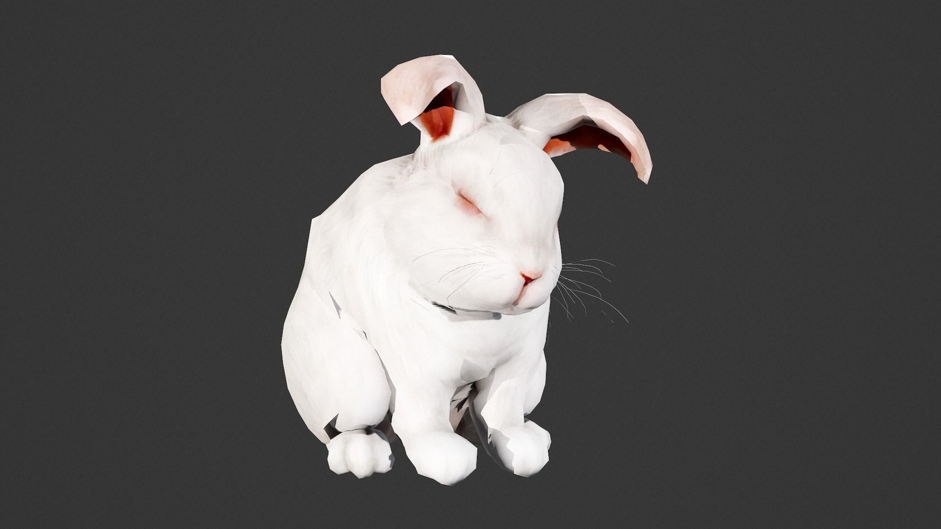 animated white rabbit  Low-poly 3D model_4