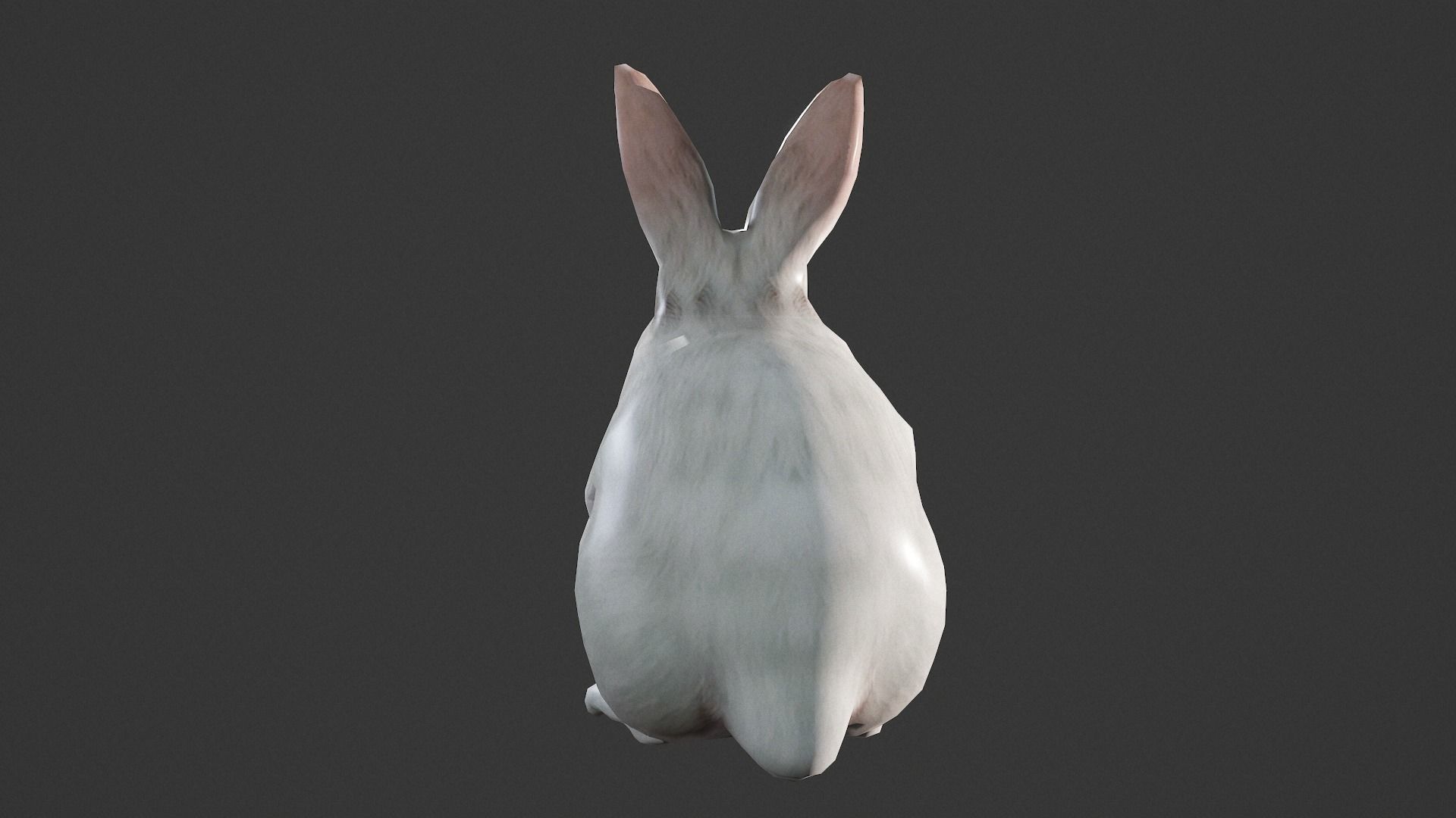 animated white rabbit  Low-poly 3D model_7