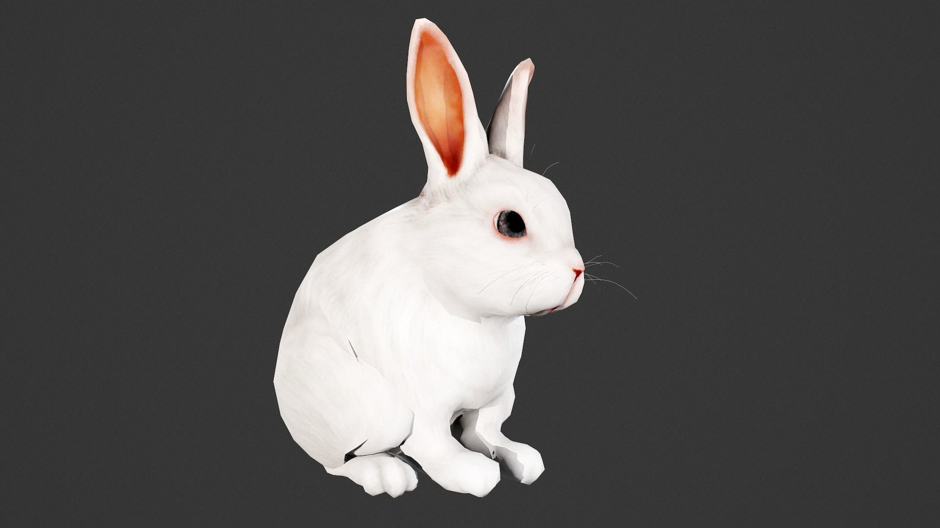 animated white rabbit  Low-poly 3D model_6