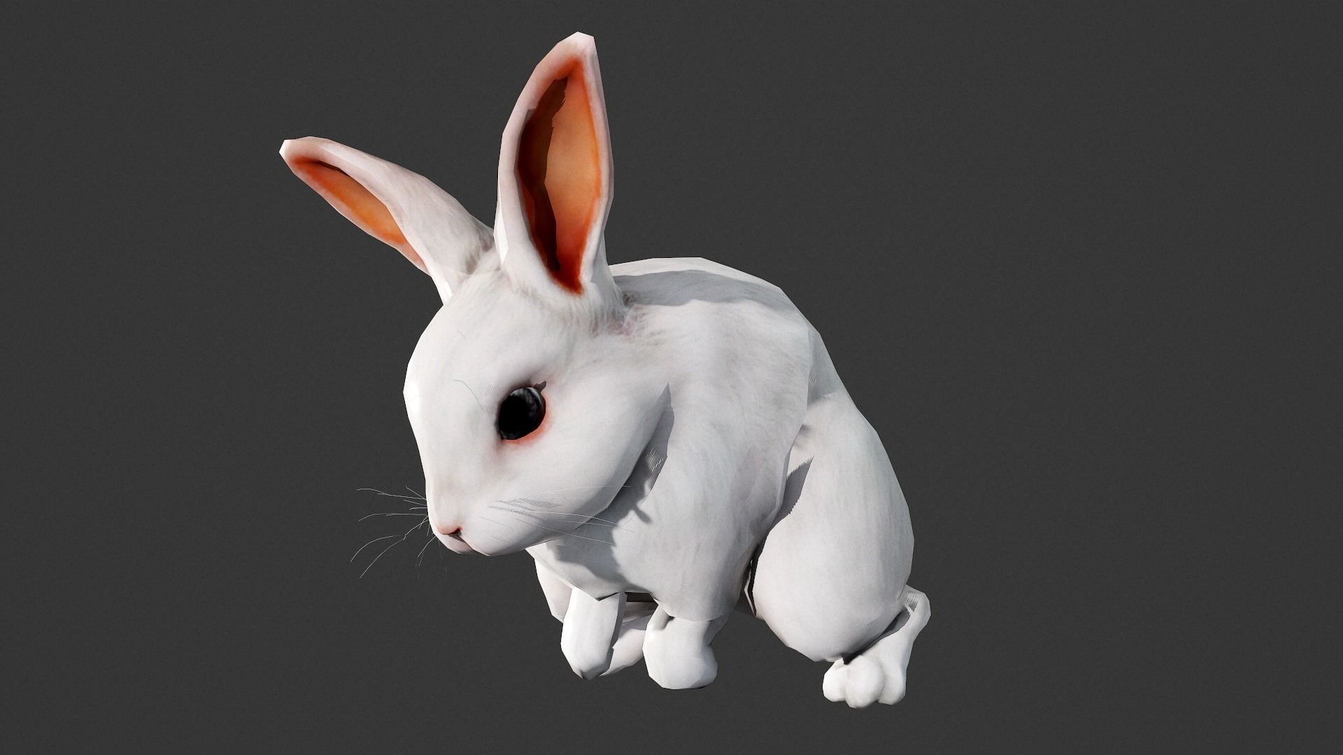 animated white rabbit  Low-poly 3D model_3