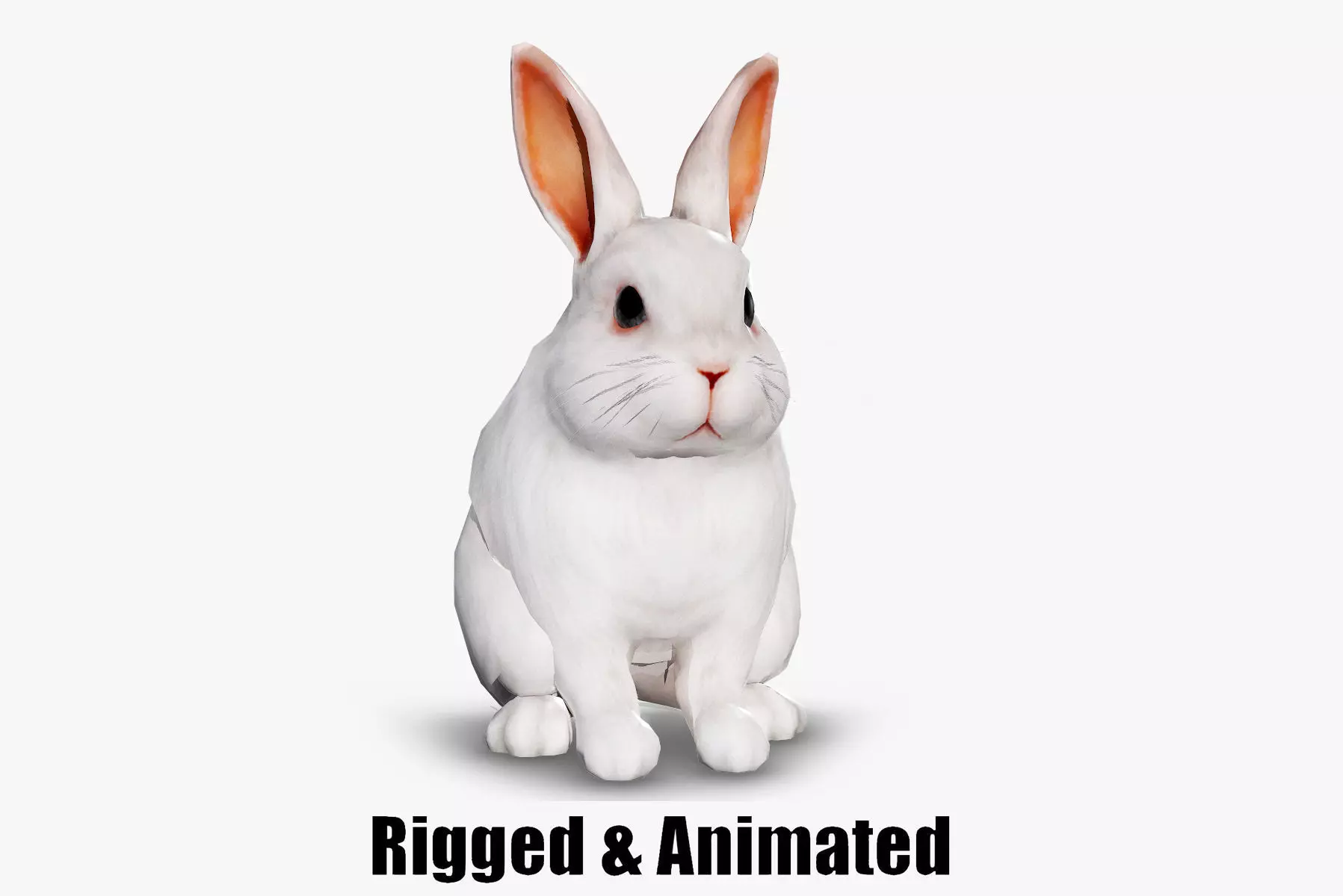 animated white rabbit  Low-poly 3D model_0