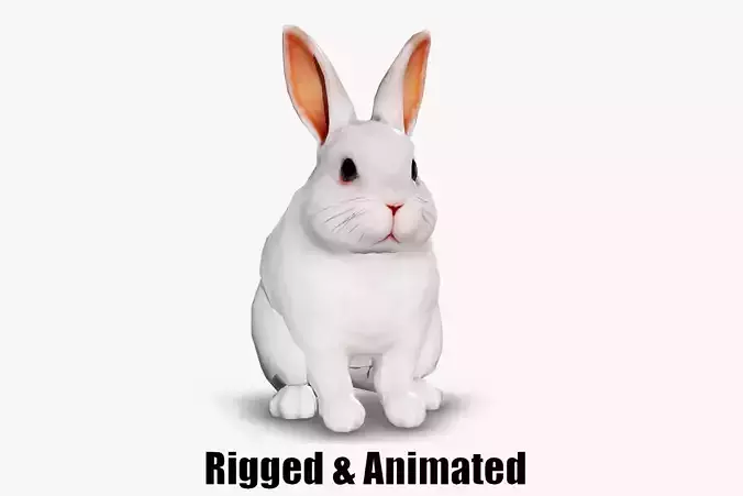 animated white rabbit  Low-poly 3D model