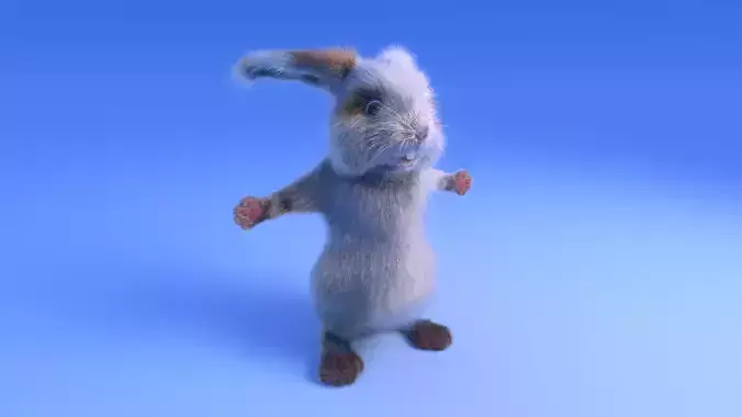 Rabbit - Cartoon style - rigged 3D model