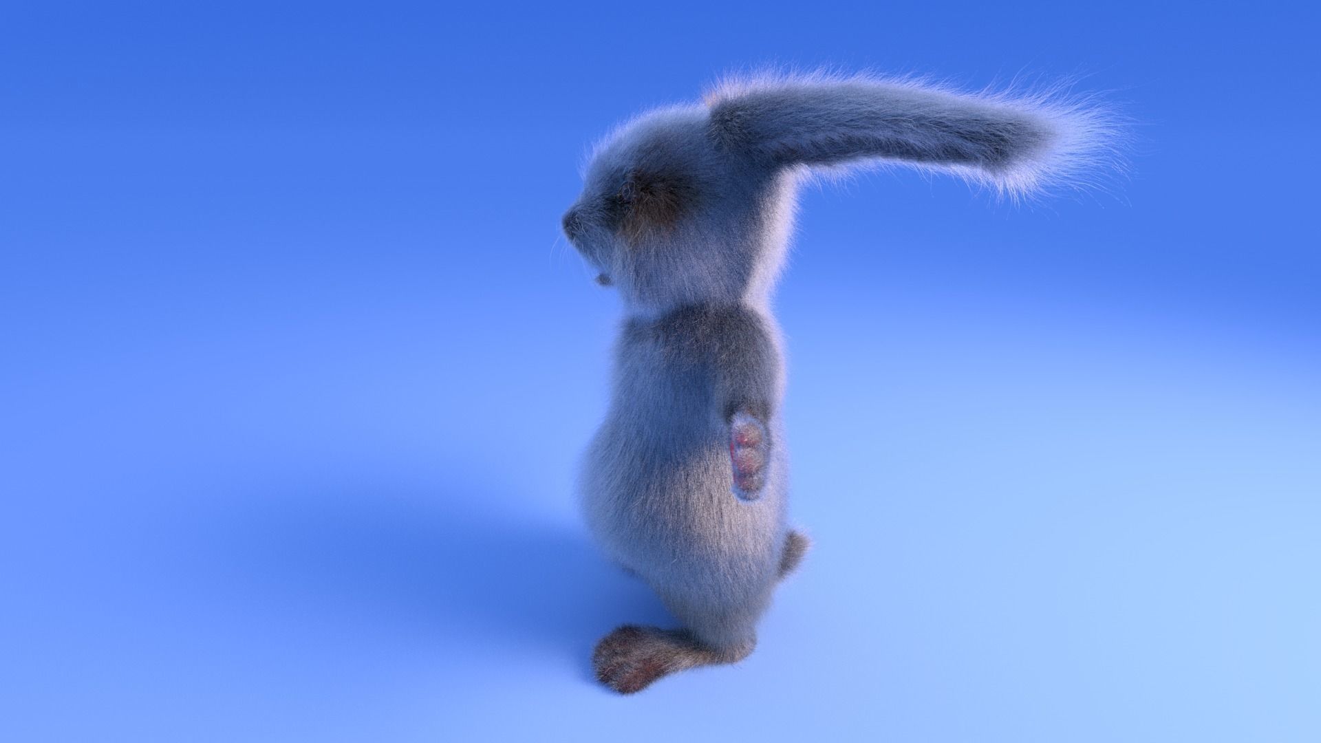 Cartoony Animals 3D Model Collection_5