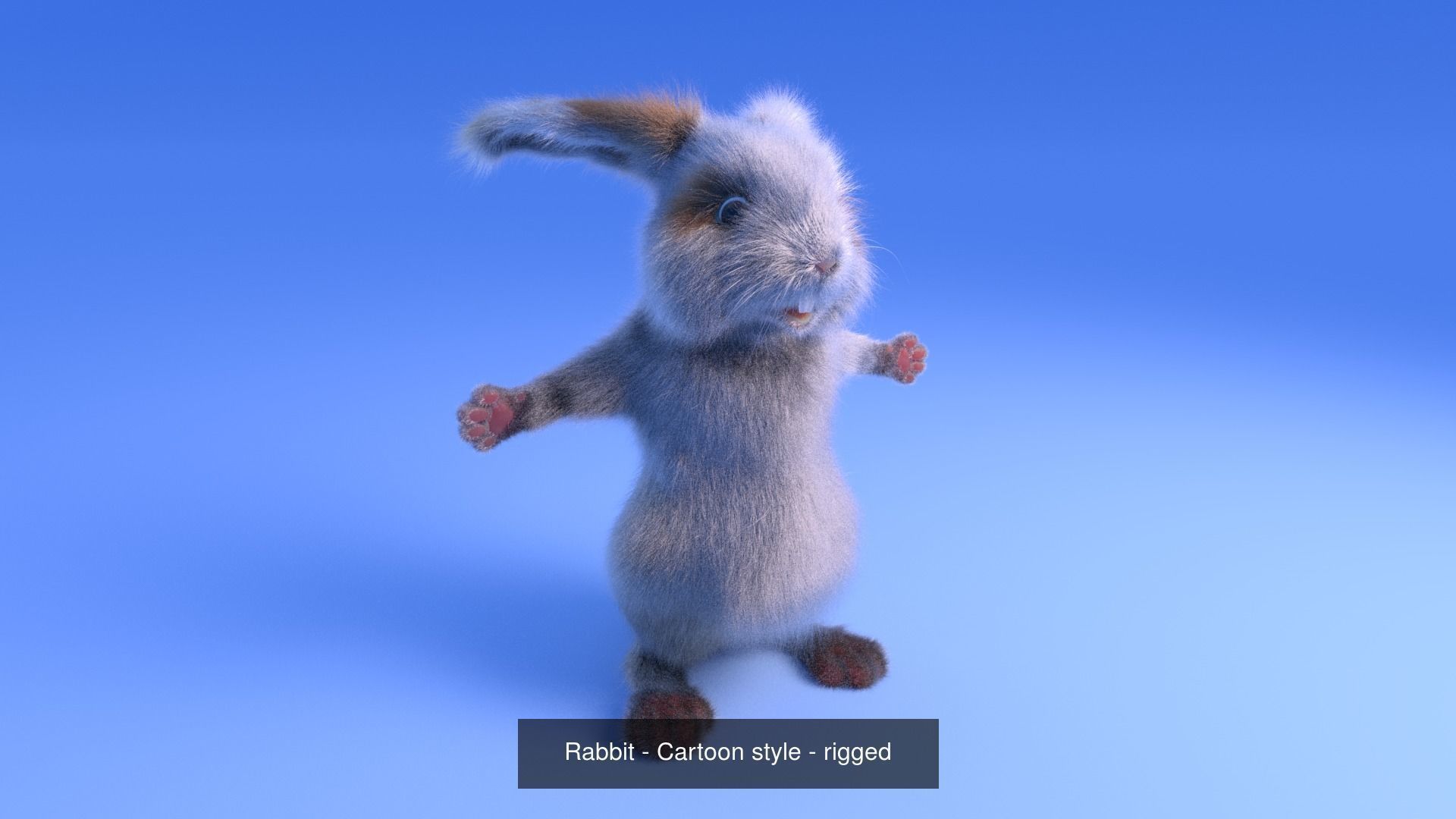 Cartoony Animals 3D Model Collection_2