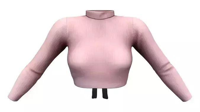 Bow Tied Open Back Turtle Neck Long Sleeve Crop Sweater Top