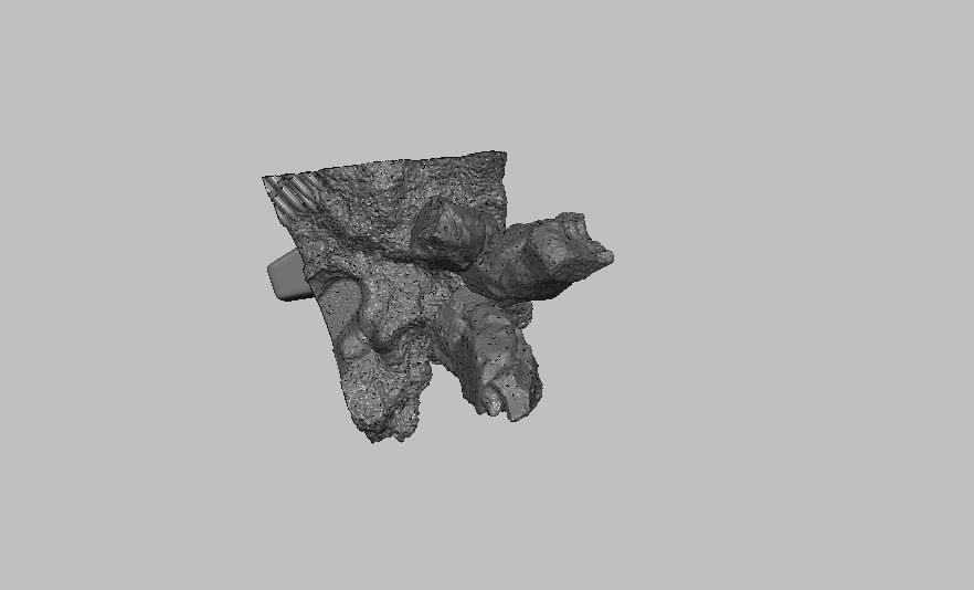 Base 2 skull 3D print model_3