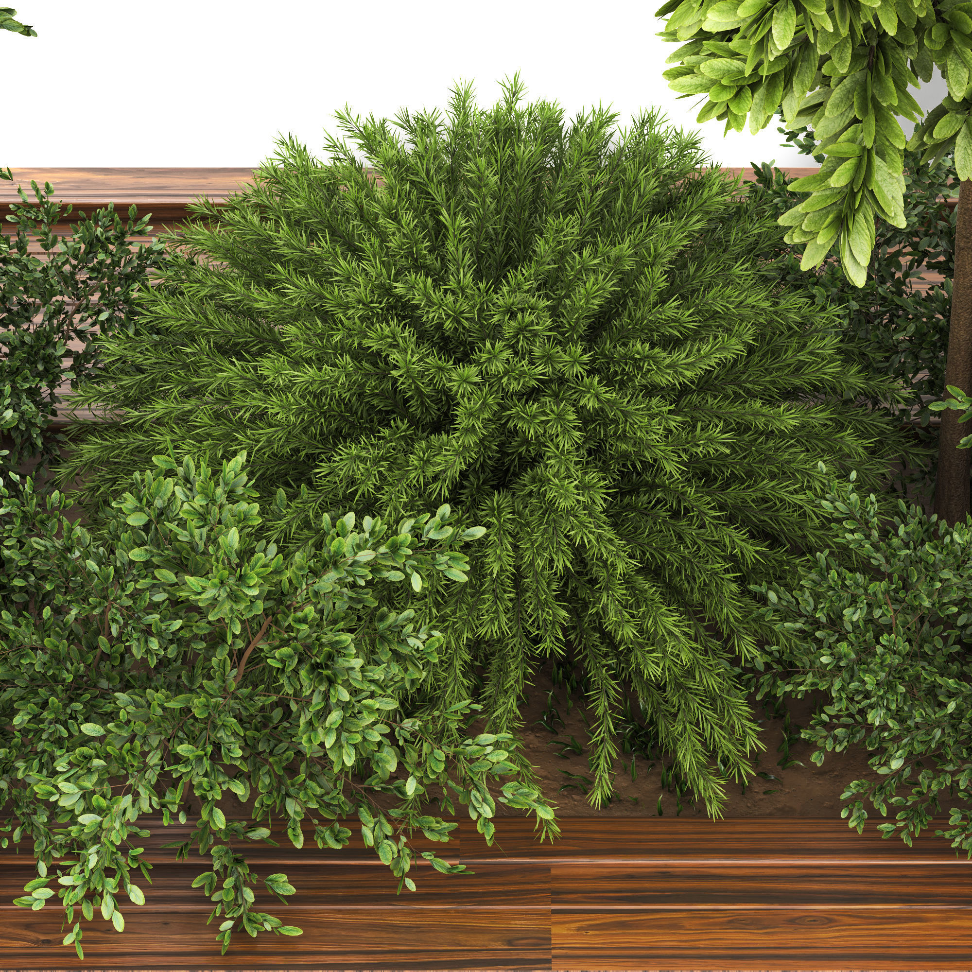 Garden set bush and Tree Set01 3D model_2