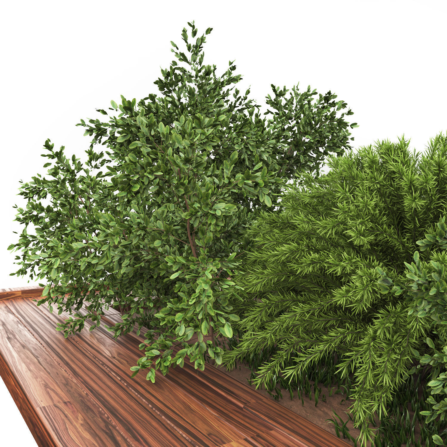 Garden set bush and Tree Set01 3D model_1