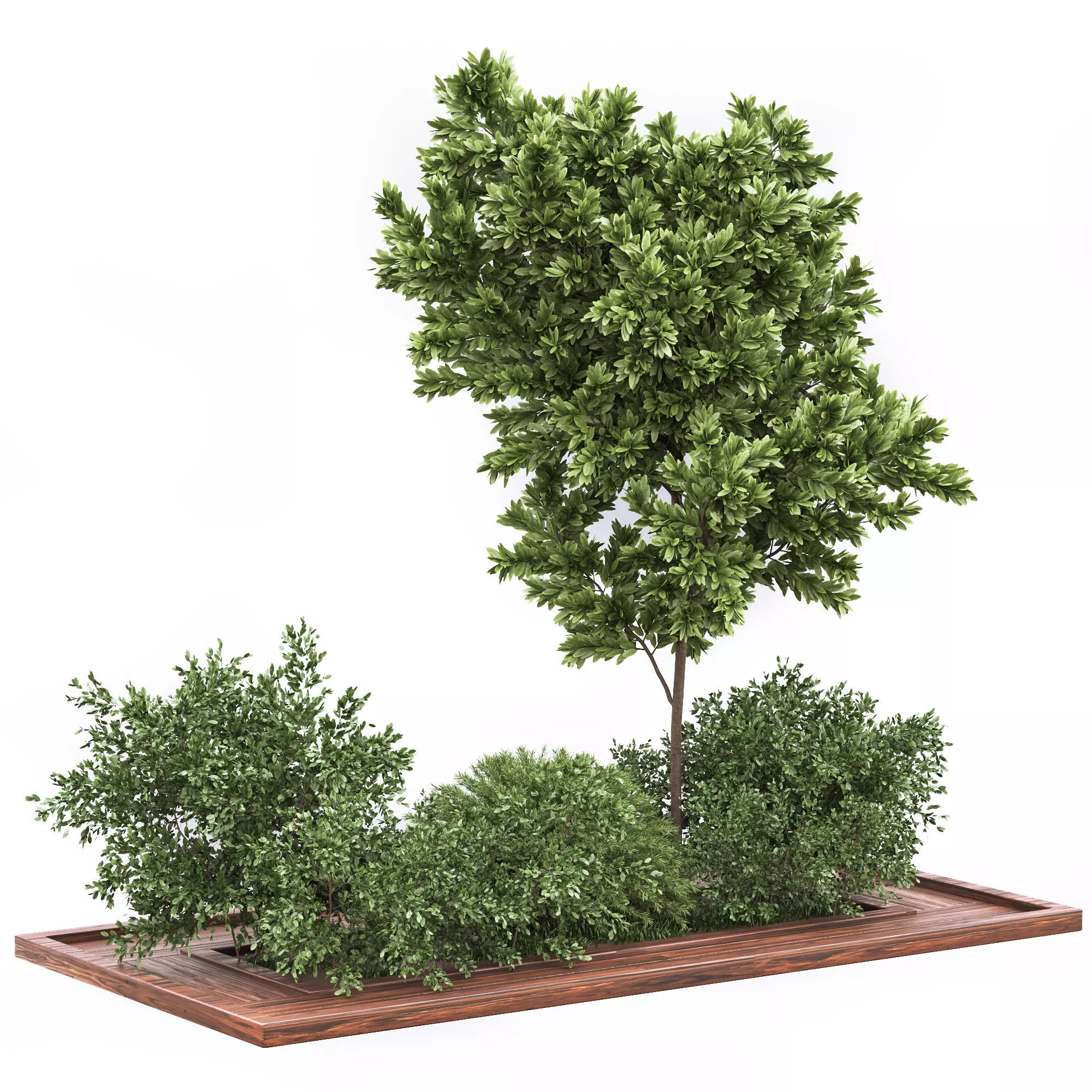 Garden set bush and Tree Set01 3D model_0