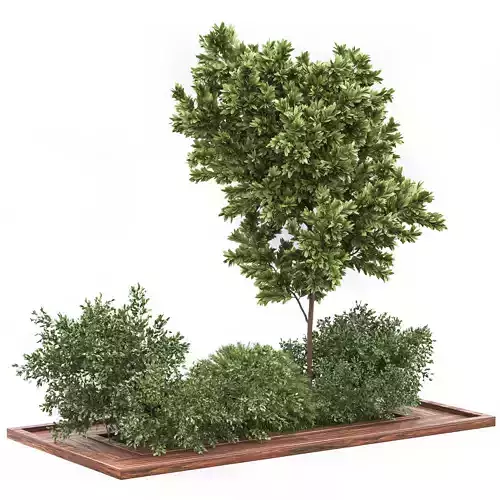 Garden set bush and Tree Set01 3D model