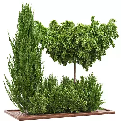 Garden set bush and Tree Set01 3D model