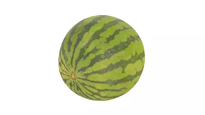 Watermelon 3D Model AR VR PBR 