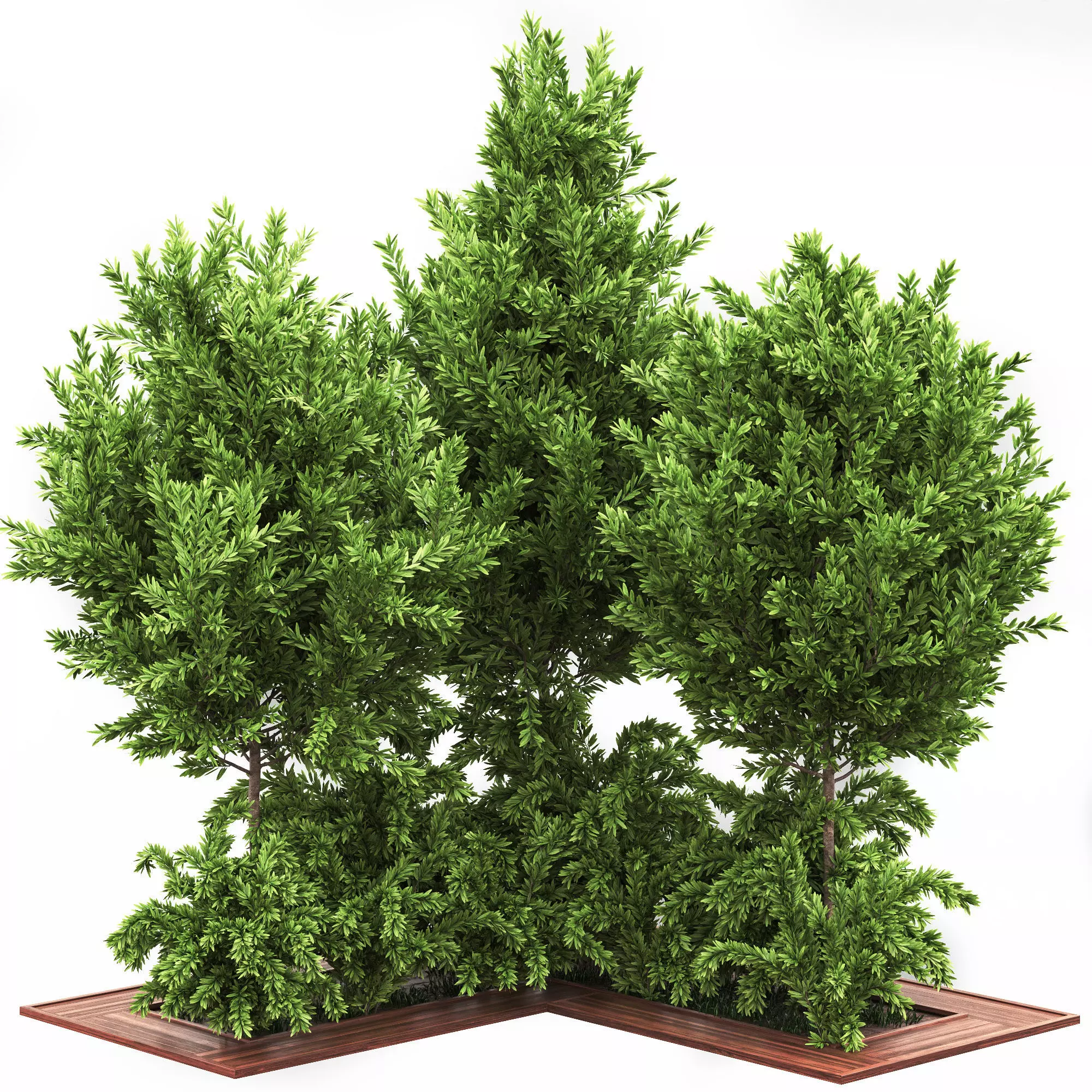 Garden set bush and Tree Set03 3D model_0