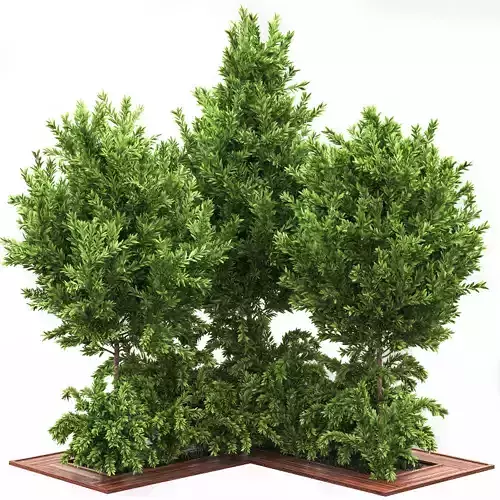 Garden set bush and Tree Set03 3D model