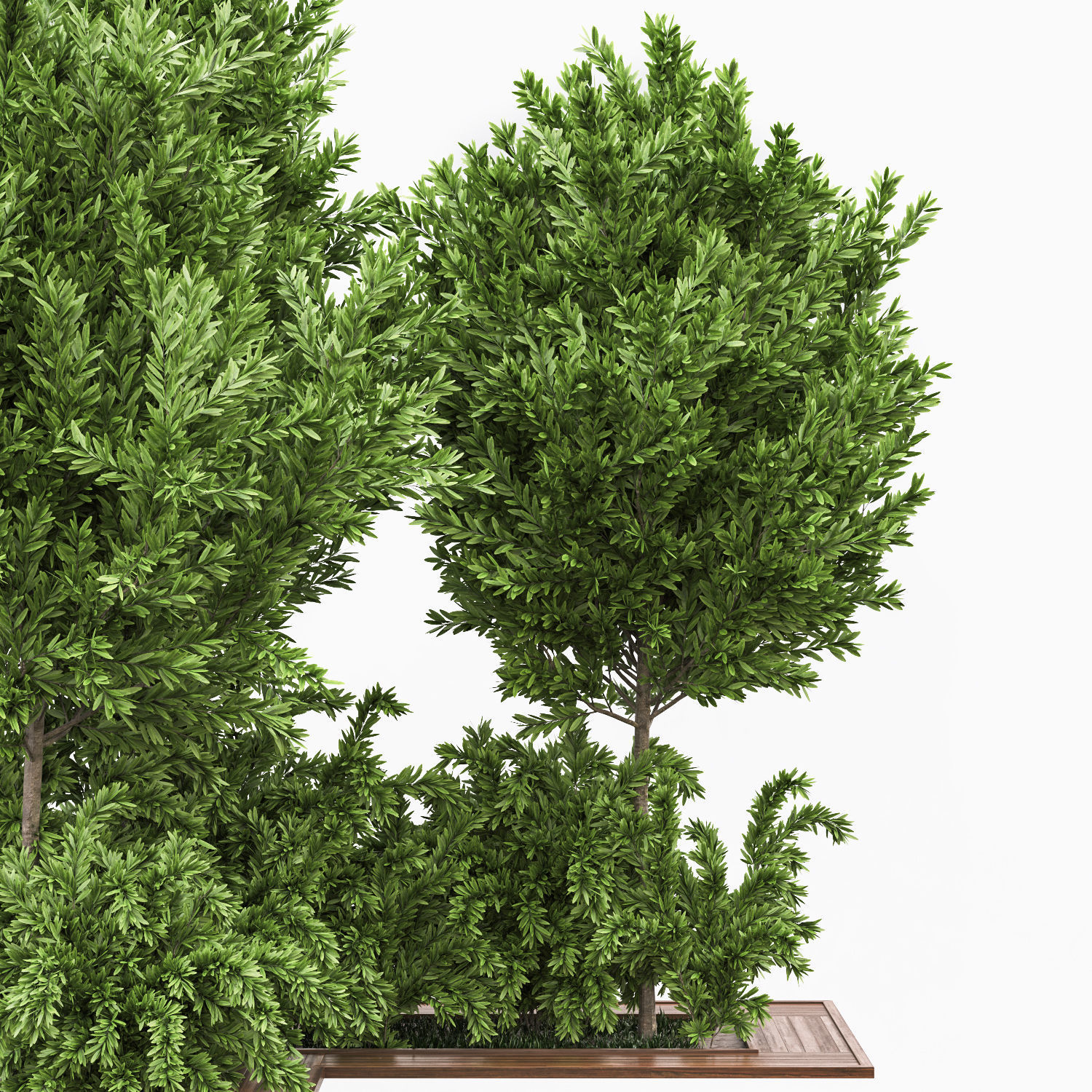 Garden set bush and Tree Set03 3D model_1