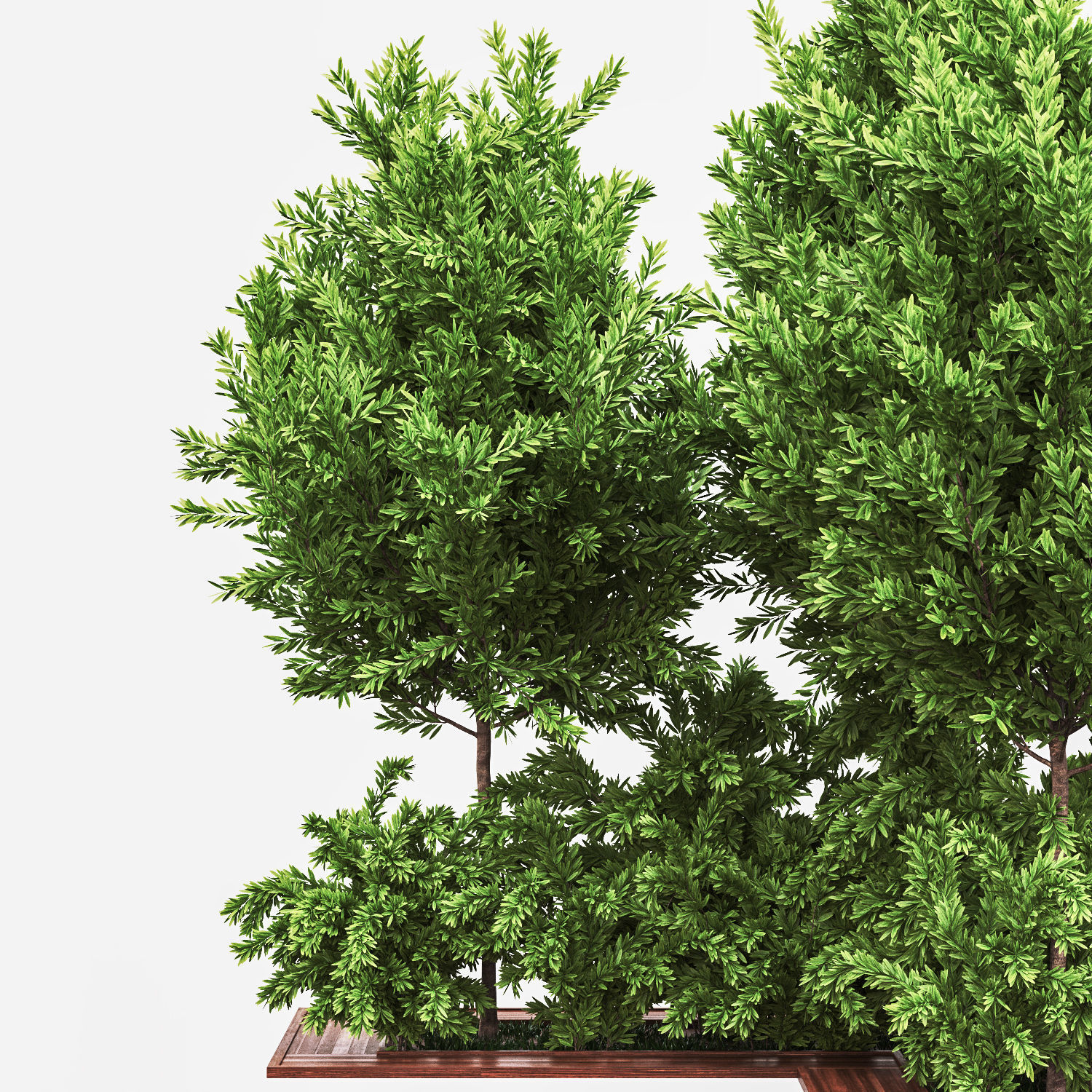 Garden set bush and Tree Set03 3D model_2