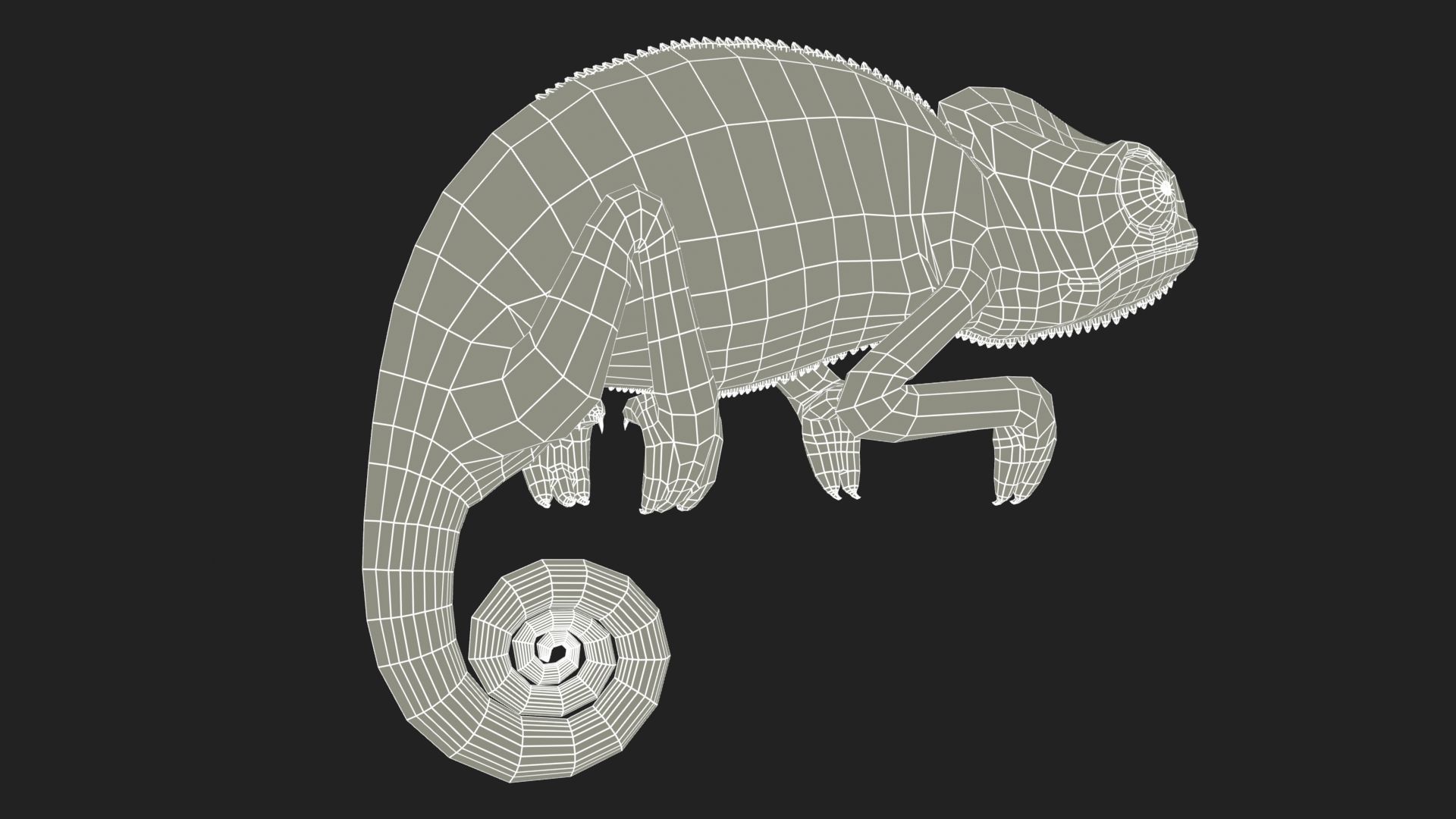 Chameleon Low-poly 3D model_11