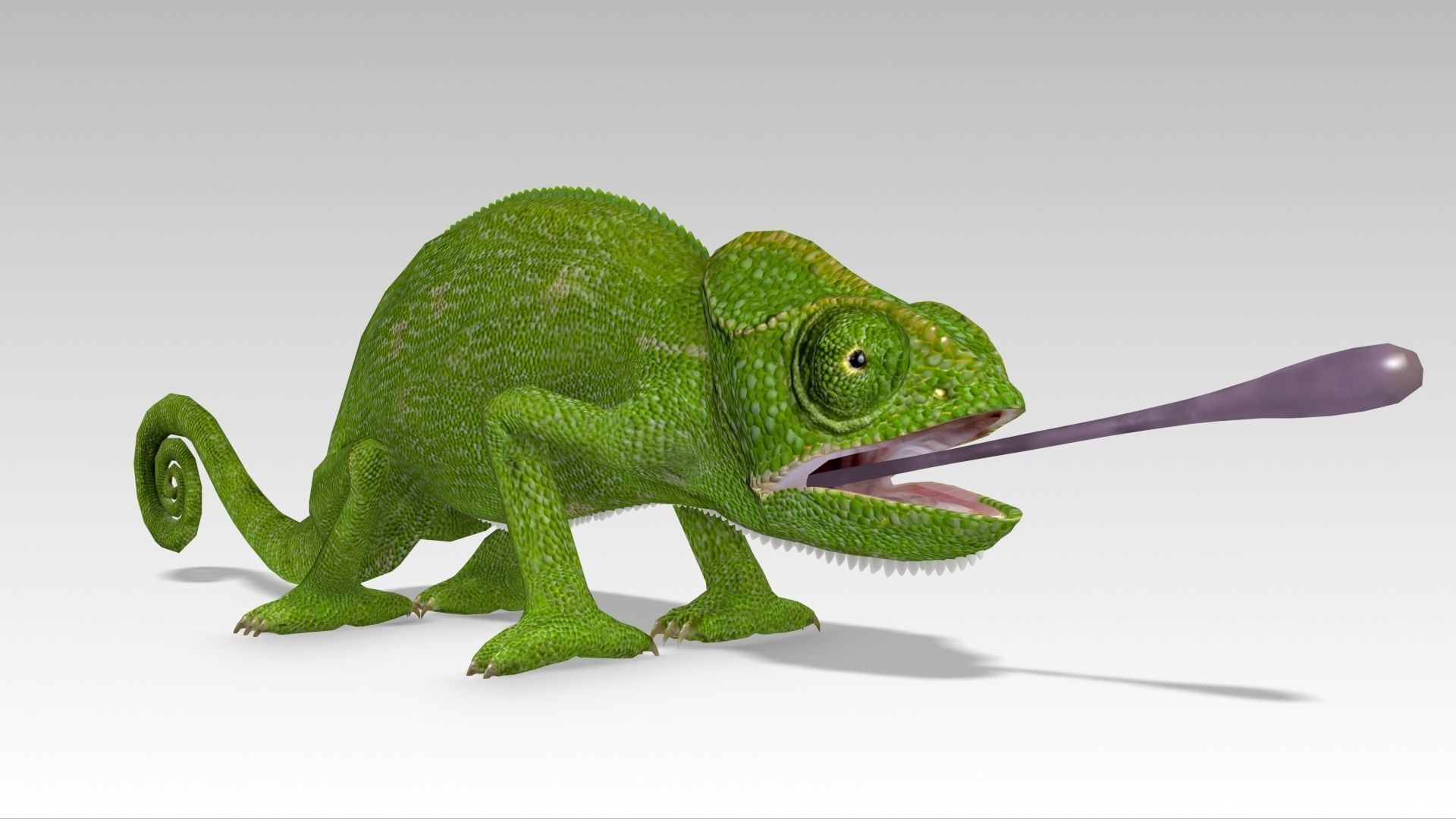 Chameleon Low-poly 3D model_7