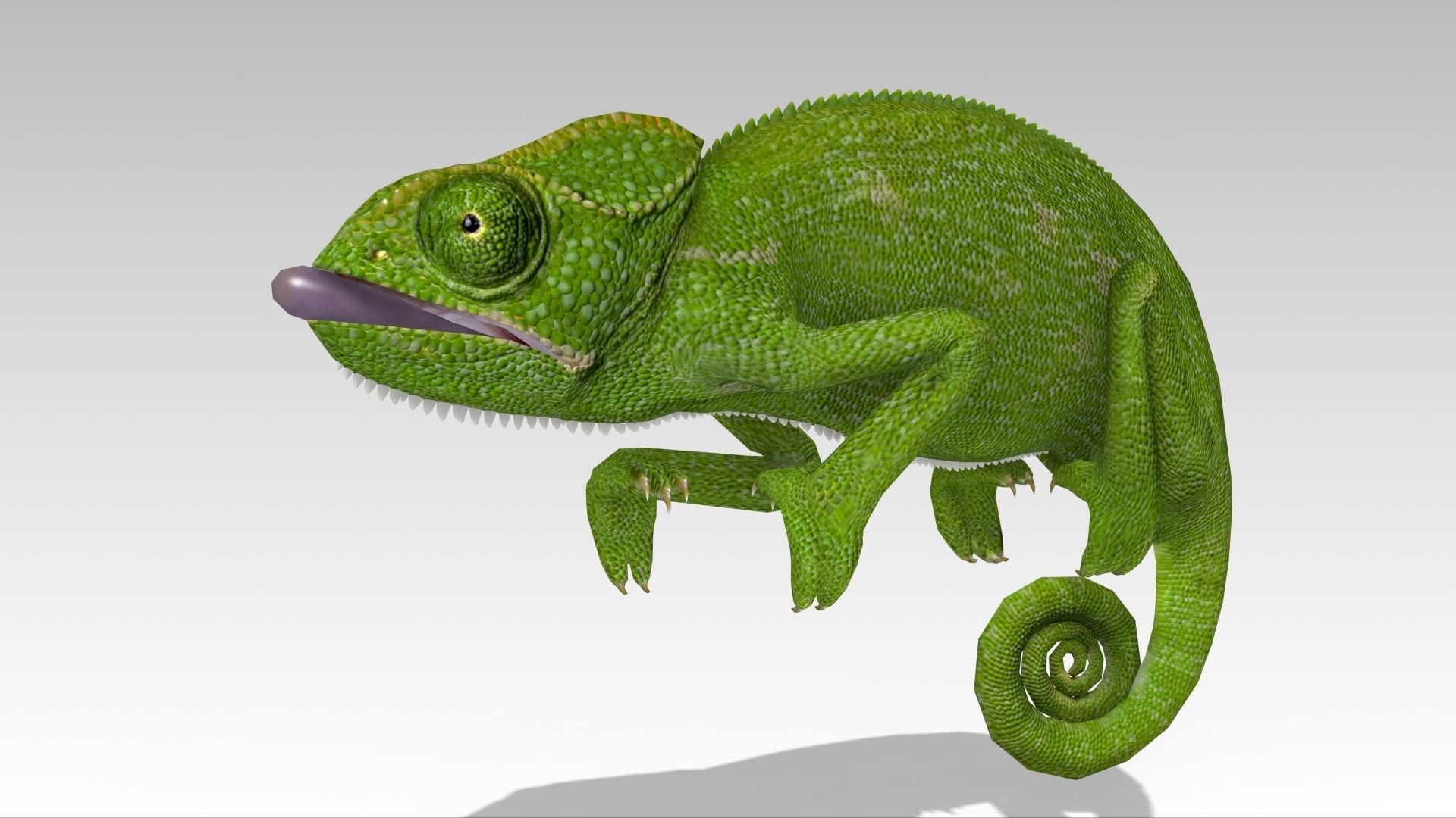 Chameleon Low-poly 3D model_2