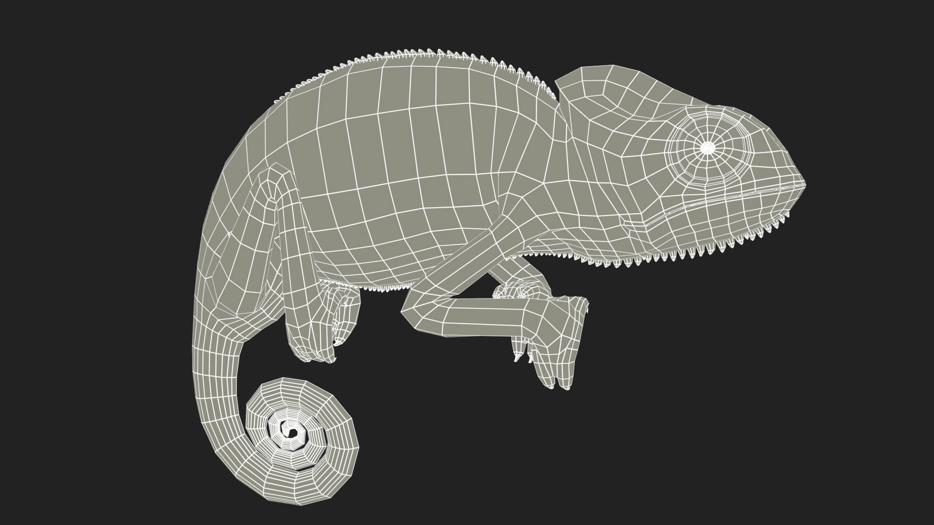 Chameleon Low-poly 3D model_10